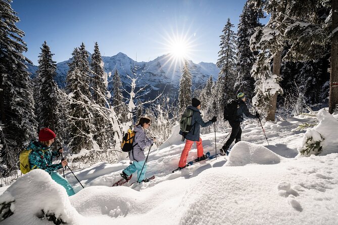 Winter Alpine Adventure - Snowshoeing through quiet Alpine forests