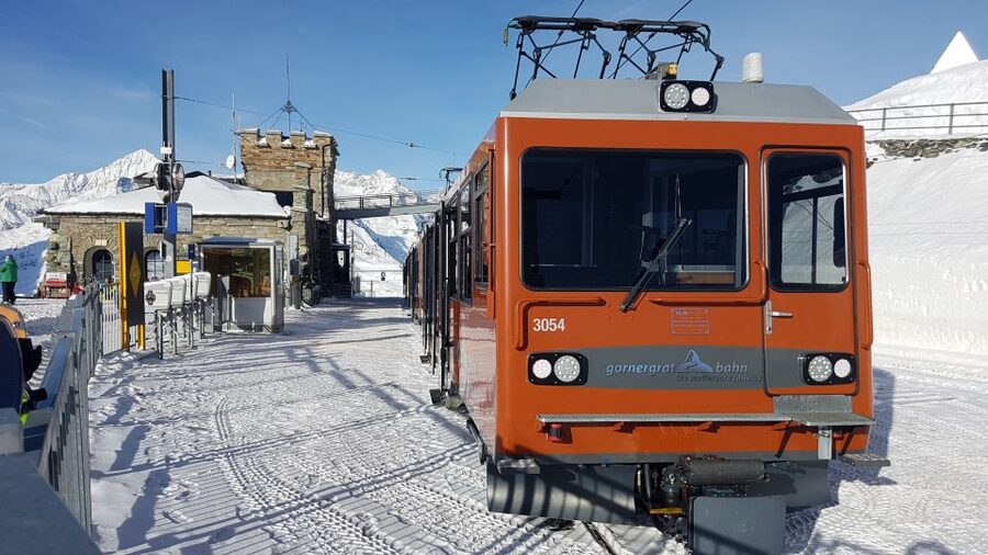 Zermatt: Village Walk and Mt. Gornergrat Private Tour - Who should book this Zermatt tour?