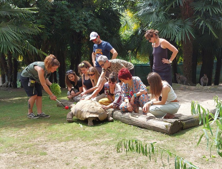 Zoo al Maglio: 1-Day Ticket for the Jungle of Ticino - A Small Zoo With Big Cats at the Center