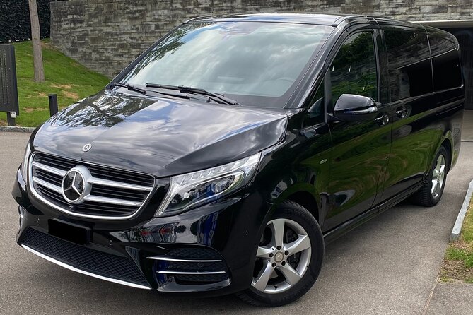 ZRH Zurich Airport to Zurich City Private Transfer–Winter Special - Why this works well for families