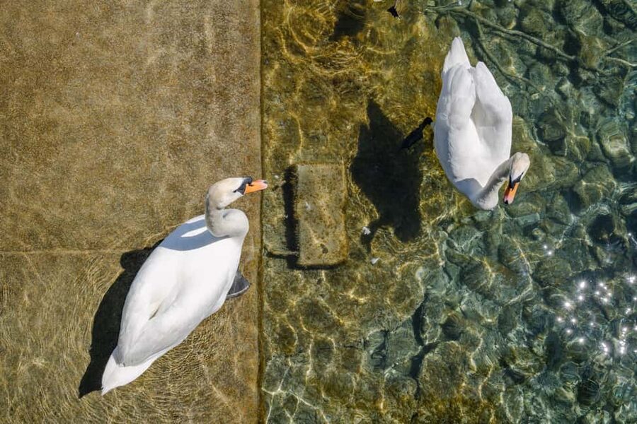 Zurich: 360° city walk including hidden spots - Grossmünster and the story of eight revolutions