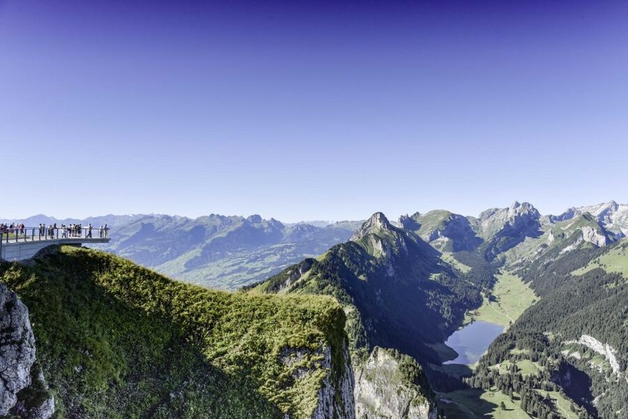 Zurich: Appenzell Day Trip with Farm Visit & Cheese Tasting - A Swiss farm and a taste of daily life
