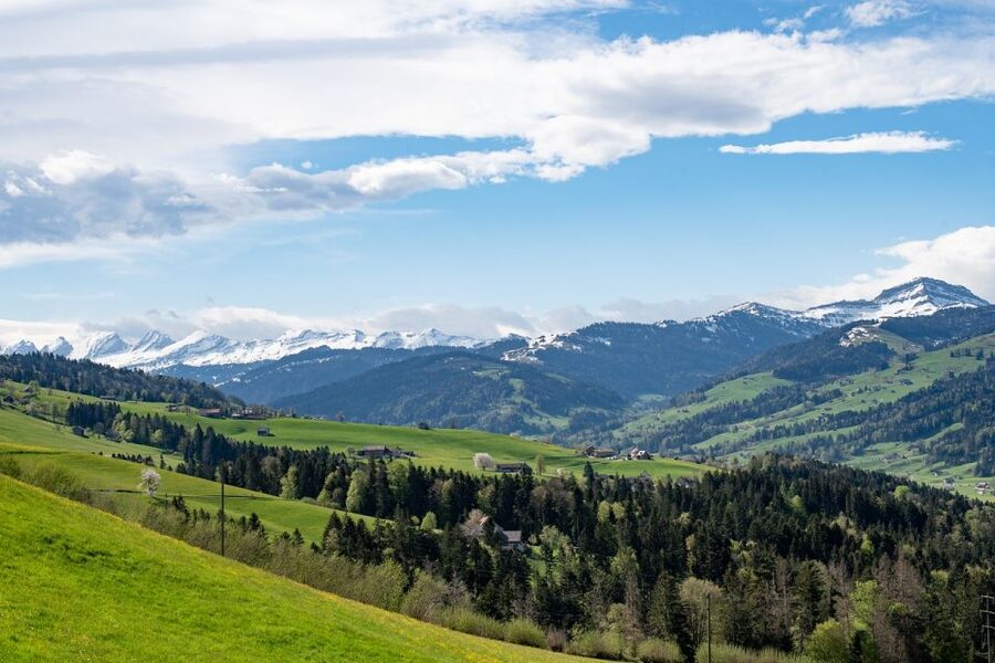 Zurich: Appenzell Day Trip with Farm Visit & Cheese Tasting - Who will get the most from this day