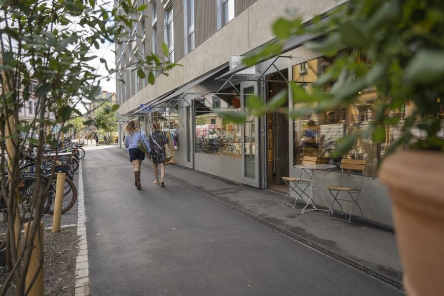 Zurich: City Walking Tour Made in Zurich - What the guide adds