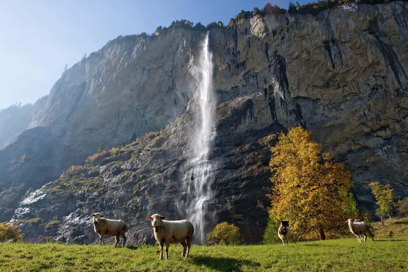 Zurich: Day Trip to Grindelwald, Interlaken & Lauterbrunnen - Choosing a Grindelwald activity