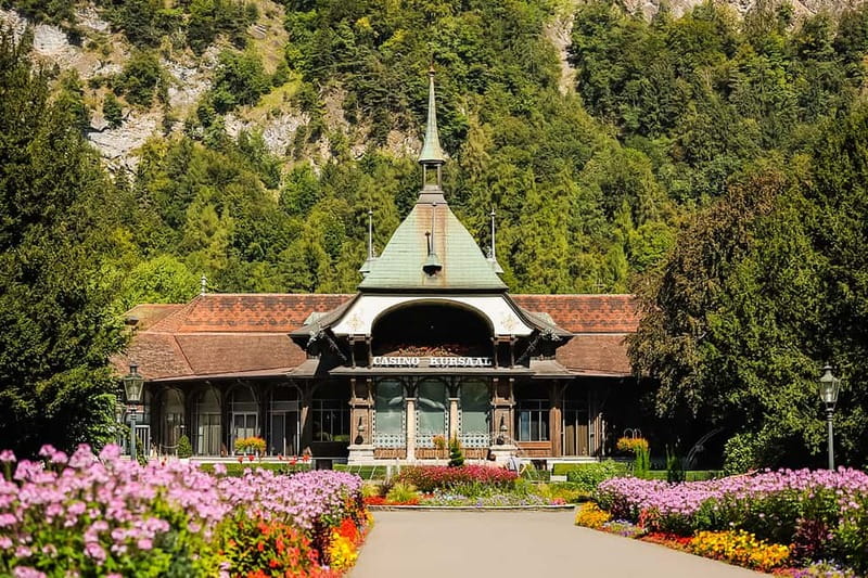 Zurich: Day Trip to Grindelwald, Interlaken & Lauterbrunnen - What the guide and coach add