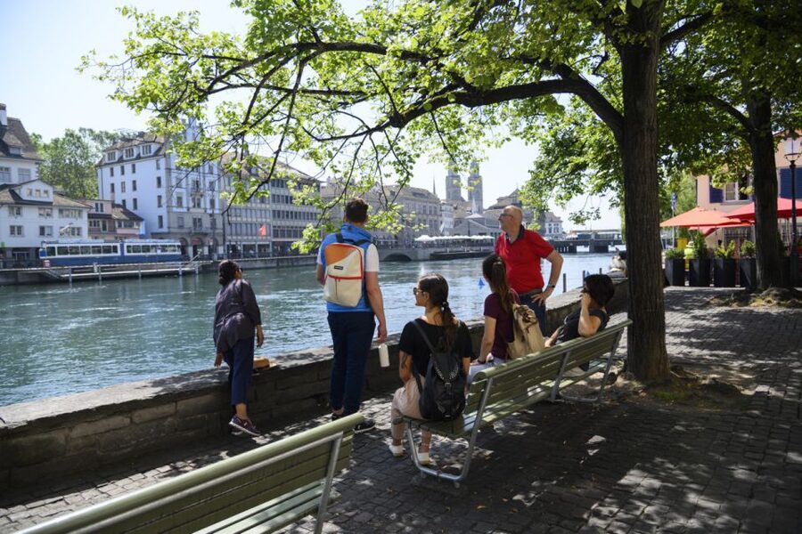 Zurich: Highlights Walking Tour with a Local Guide - Stories about lions, dance, and city identity