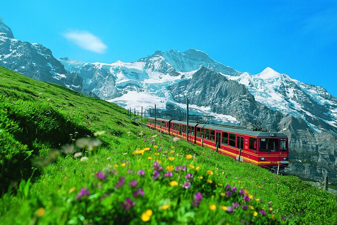 Zurich: Interlaken & Harder Kulm Small Group Tour - Key points to know before booking