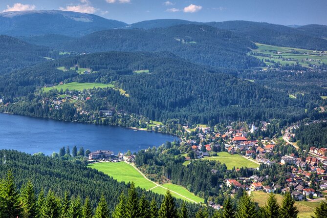 Zürich: Private Car Tour to Rhine Falls, Titisee and Black Forest - What the private car changes