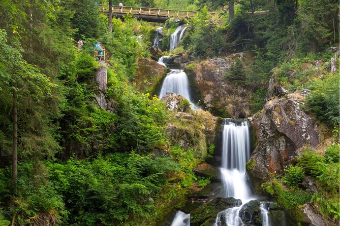 Zürich: Private Car Tour to Rhine Falls, Titisee and Black Forest - Is the $272.47 price fair?
