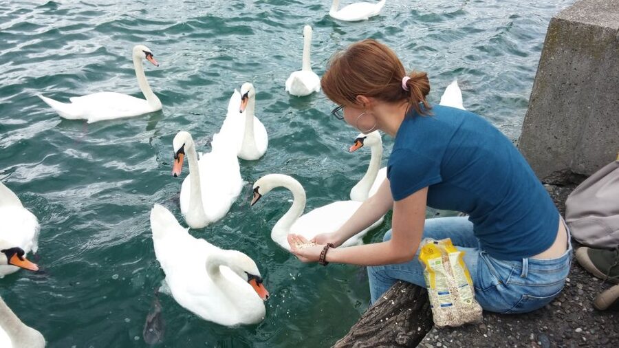 Zurich: Private Walking Tour with a Local Guide - Zurich West, the Viaduct, and modern city life