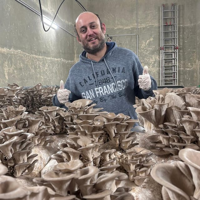 Zurich's best-kept secret: the hidden world of mushrooms! - Inside the maturation chamber