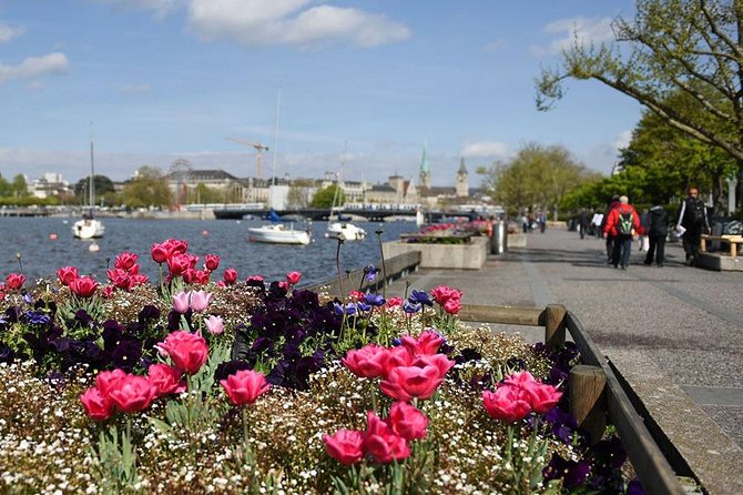 Zurich Sightseeing Private Walking Tour - Who Should Book This Zurich Walk?