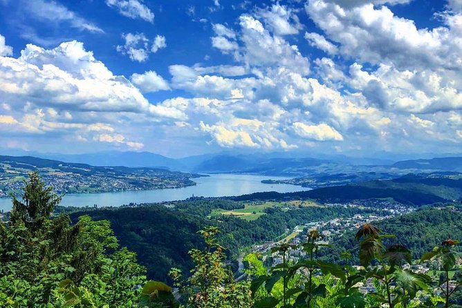 Zurich Walking Tour With Cruise and Aerial Cable Car - Old Town: churches, guild houses, and big-city wealth