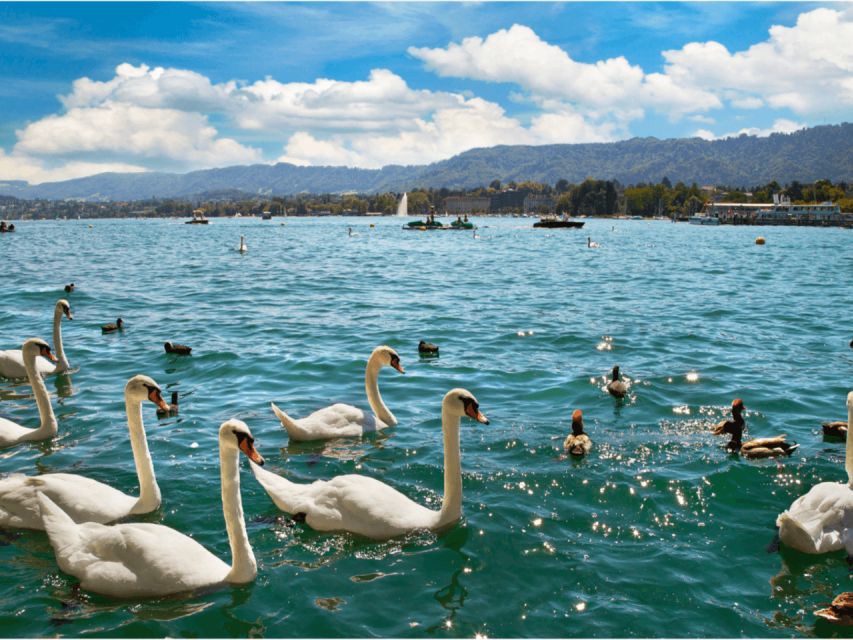 Zürich with Cruise and Lindt Home of chocolate (private) - A 30-minute cruise on Lake Zurich